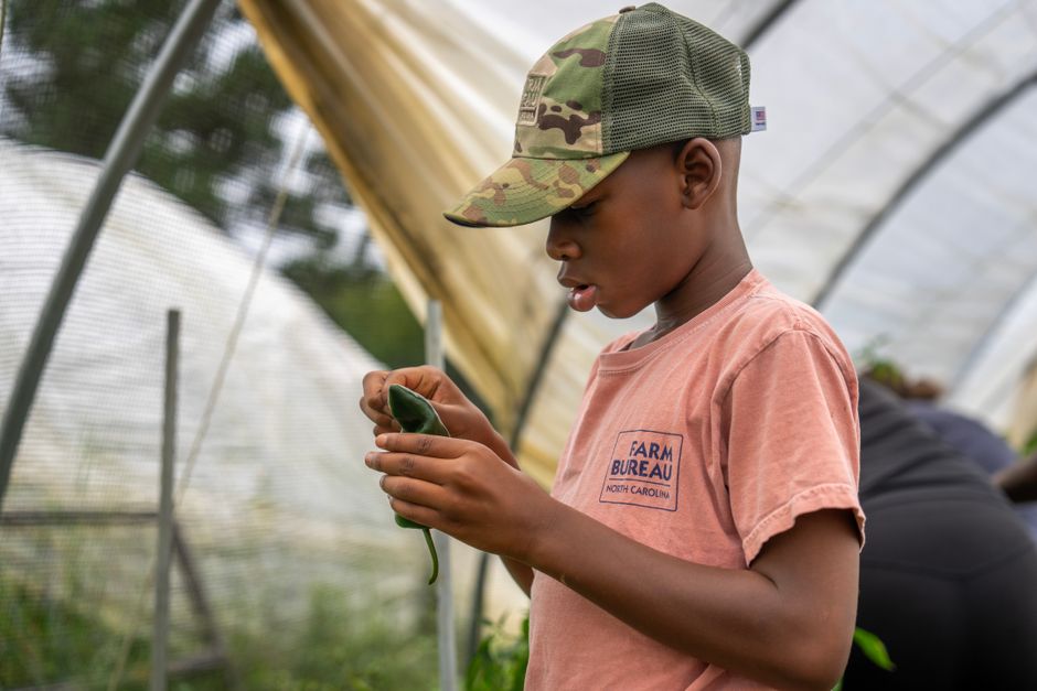 School teaches young women farming skills for future jobs